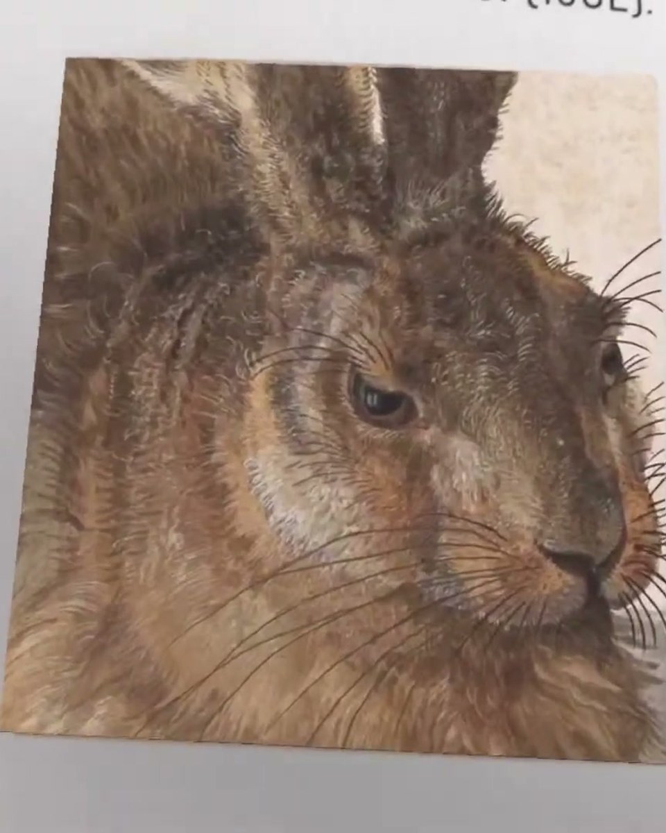 Dürer's Young Hare comes alive: Albertina, Vienna