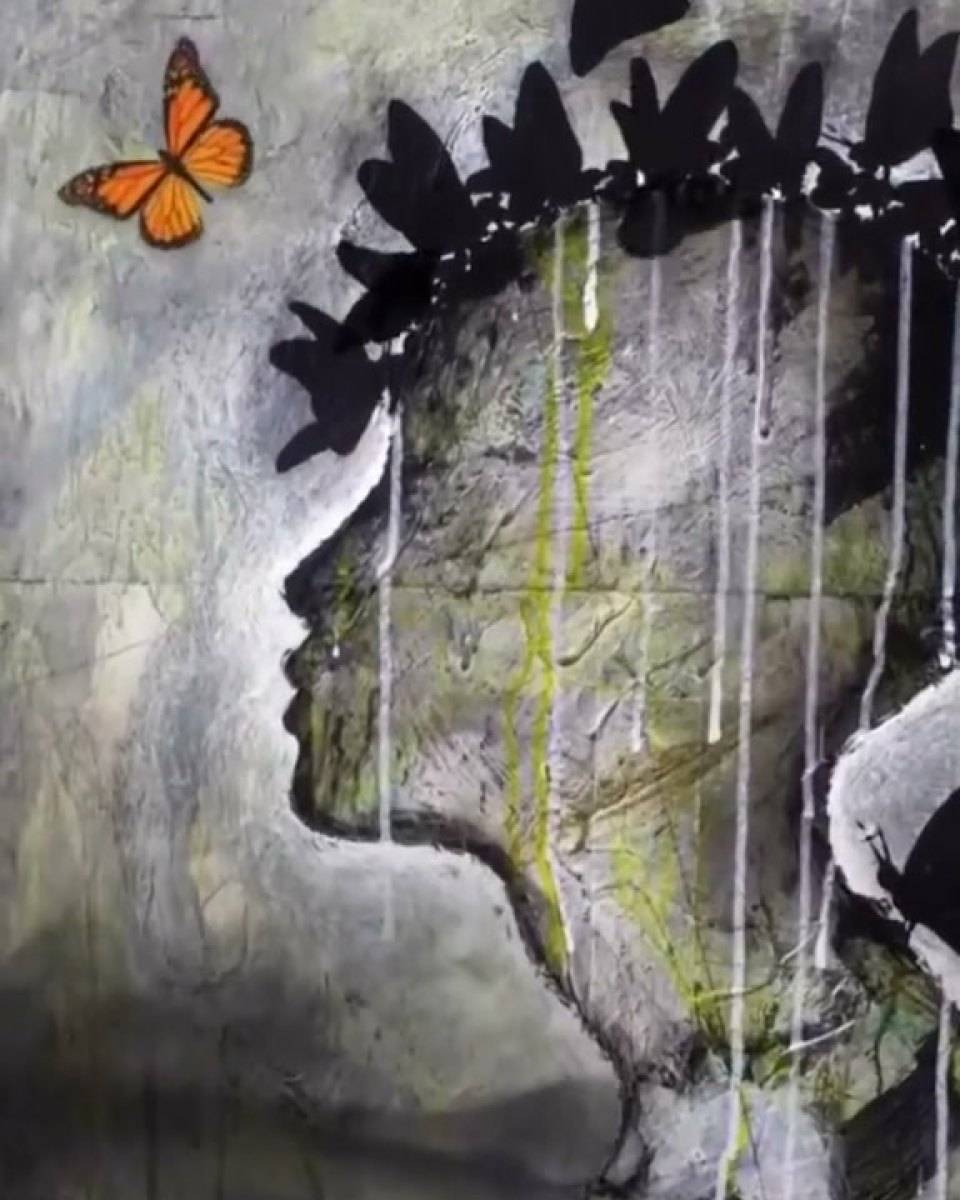 Butterflies over the canvas: Sergio Gomez