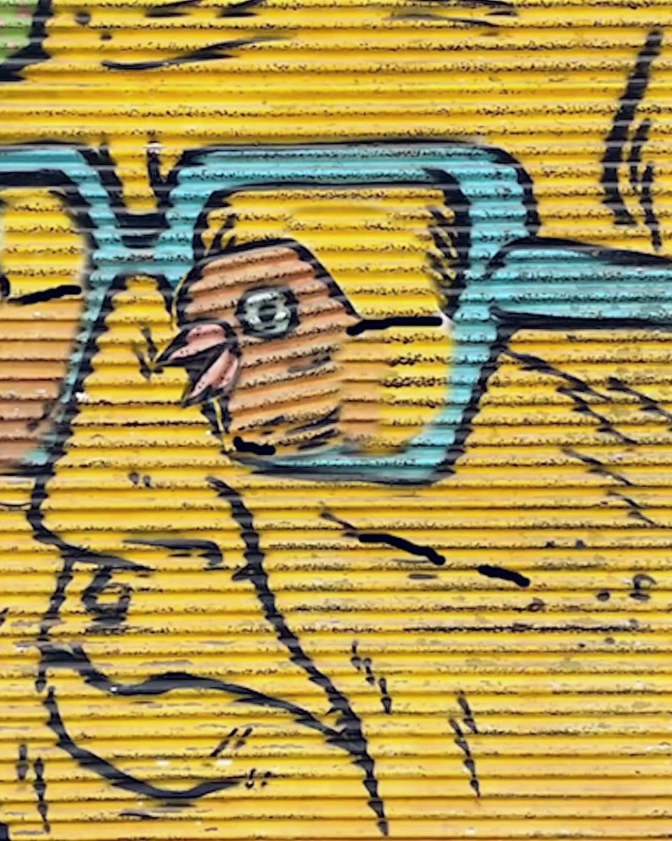 Guided AR street art tours: Tel Aviv